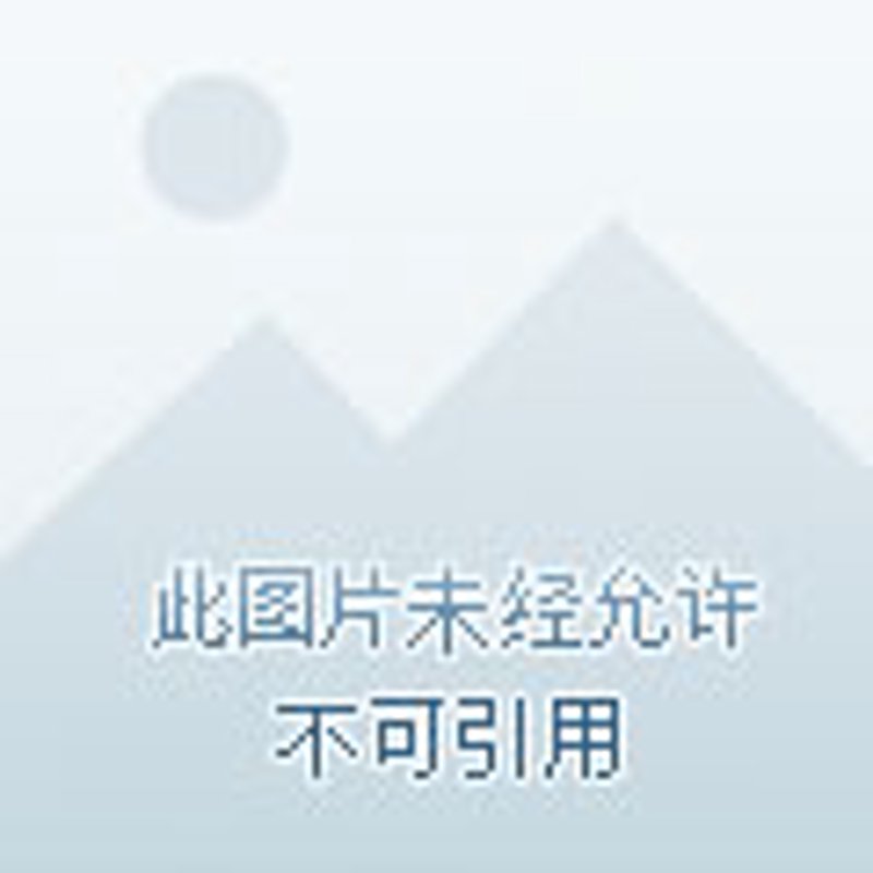 儿童教育培训行业的现状与趋势